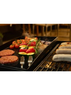 Grillplatte emailliert zu COMPANION pro 480 x 290 mm
