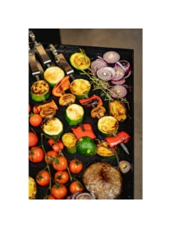 Grillplatte emailliert zu COMPANION pro 480 x 290 mm