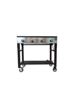 Partygrill COMPANION pro