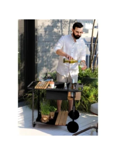 Chariot SMOERSET alu graphite, teck