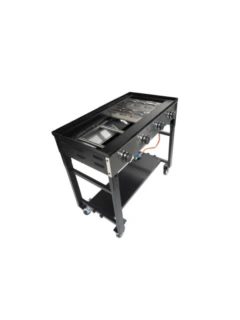 Partygrill COMPANION pro