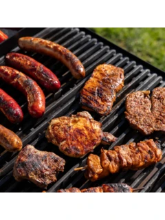 Gril pour fêtes COMPANION pro