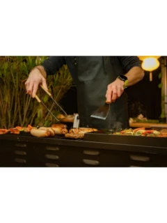 Partygrill COMPANION pro