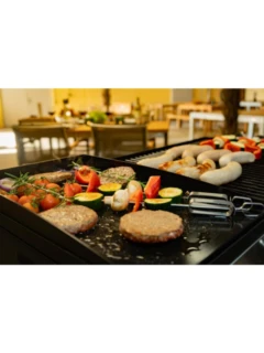 Grillplatte emailliert zu COMPANION pro 480 x 290 mm
