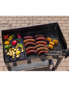 Gril pour fêtes COMPANION pro