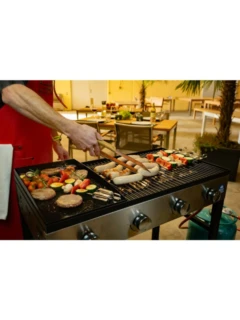 Gril pour fêtes COMPANION pro