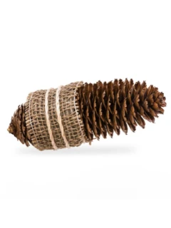 Allume-cônes Conefire (10 pcs)