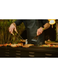 Partygrill COMPANION pro