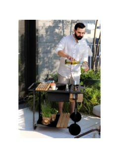 Chariot SMOERSET alu graphite, teck