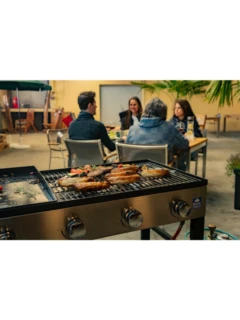 Gril pour fêtes COMPANION pro